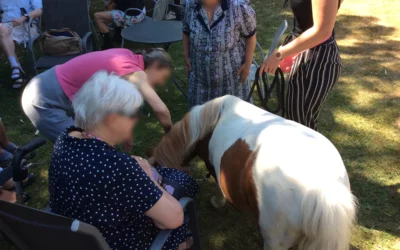 Visite des poneys