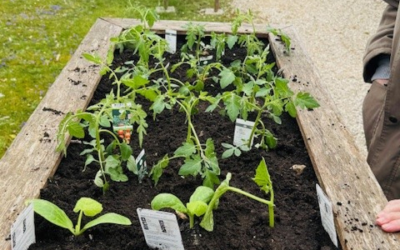 Activité jardin