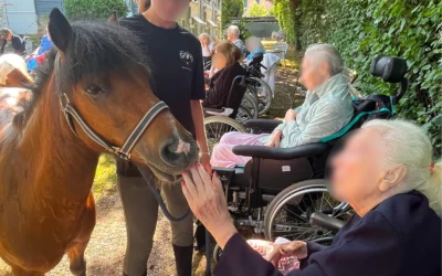 Visite des poneys à l’EMS