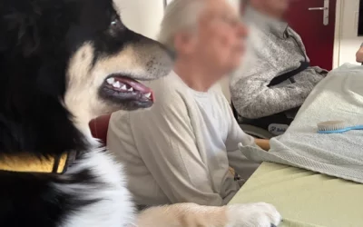 Zoothérapie